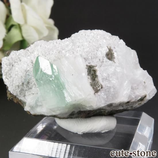  ץ͡ ꡼󥢥ݥե饤ȡƥХȤθ 41.7gμ̿1 cute stone