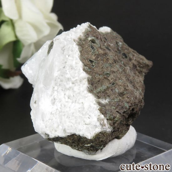  ץ͡ ꡼󥢥ݥե饤ȡƥХȤθ 41.7gμ̿3 cute stone