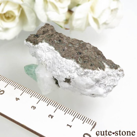  ץ͡ ꡼󥢥ݥե饤ȡƥХȤθ 41.7gμ̿4 cute stone