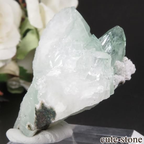  ץ͡ ꡼󥢥ݥե饤Ȥθ 29.6gμ̿1 cute stone