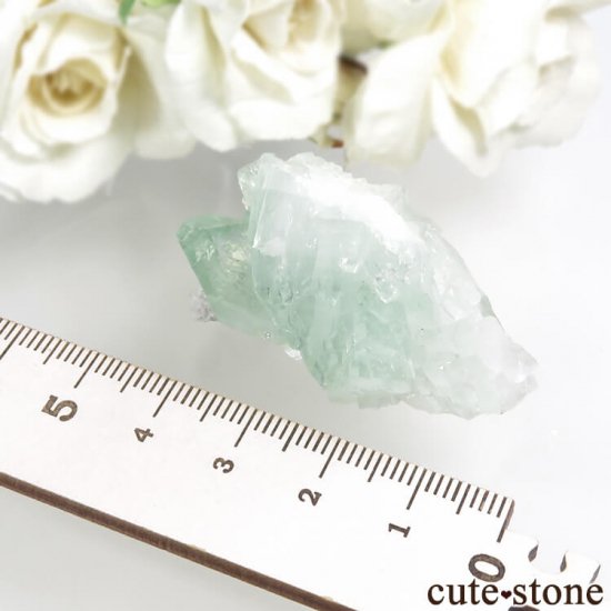  ץ͡ ꡼󥢥ݥե饤Ȥθ 29.6gμ̿3 cute stone