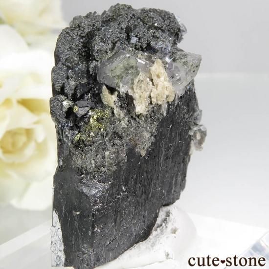 䥪󥷥 եޥȡġե饤 50gμ̿1 cute stone