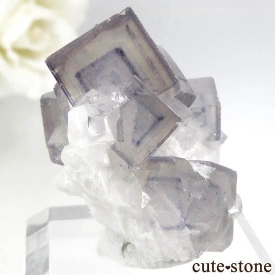 䥪󥷥 ե饤ȡ 13.6gμ̿1 cute stone