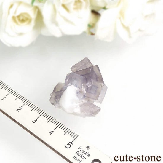 䥪󥷥 ե饤ȡ 13.6gμ̿2 cute stone