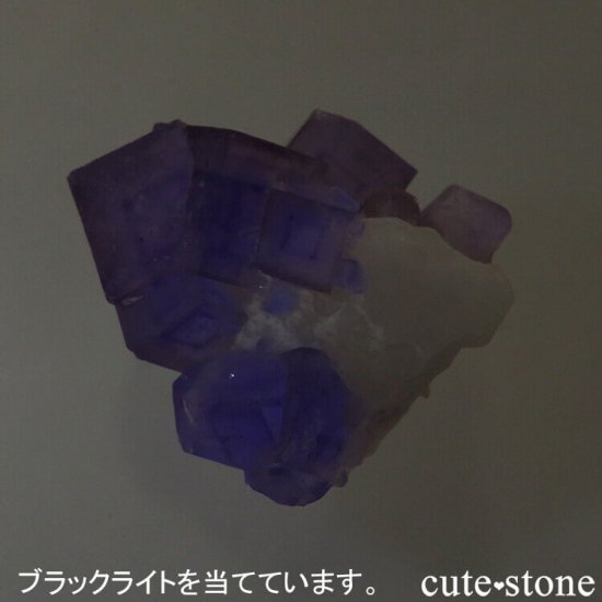 䥪󥷥 ե饤ȡ 13.6gμ̿3 cute stone