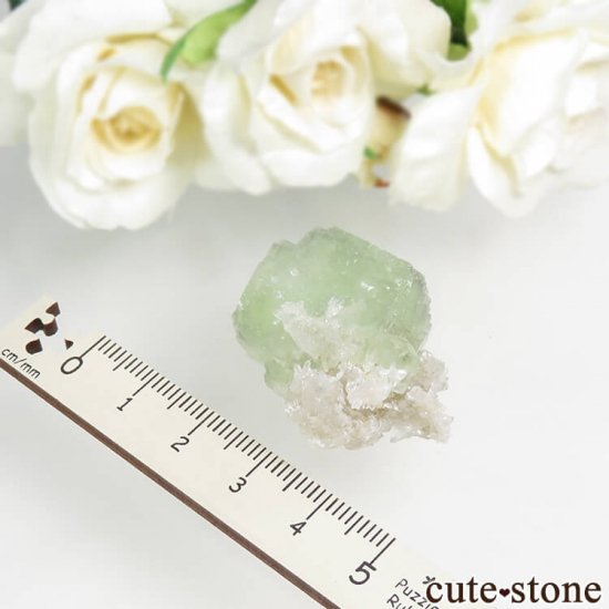  ʡʻ ꡼ե饤ȡġʸС 21.3gμ̿3 cute stone