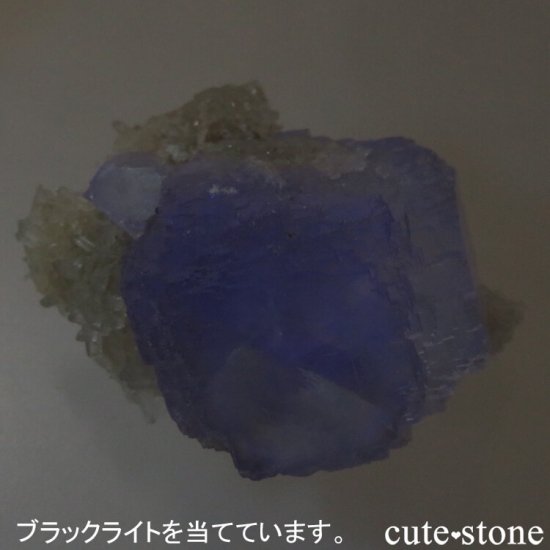  ʡʻ ꡼ե饤ȡġʸС 21.3gμ̿4 cute stone