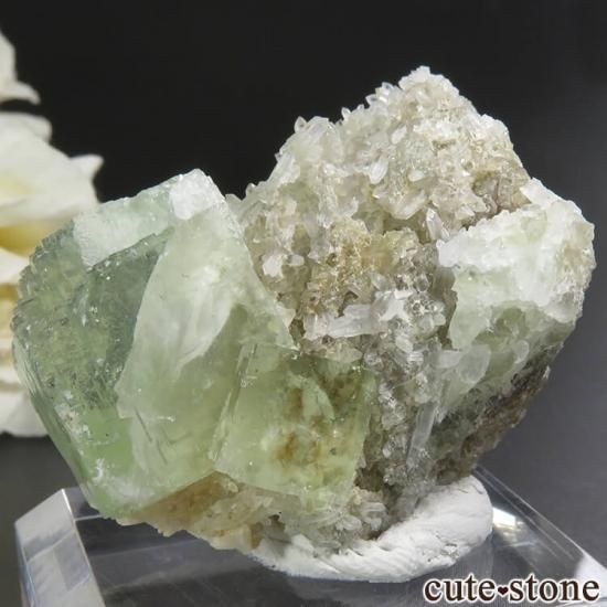  ʡʻ ꡼ե饤ȡġʸС 34.7gμ̿1 cute stone