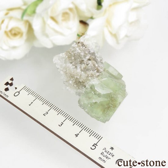  ʡʻ ꡼ե饤ȡġʸС 34.7gμ̿3 cute stone