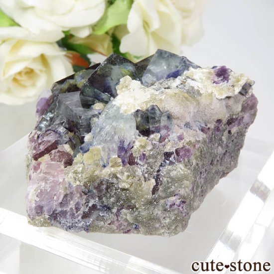  󥴥뻺 ѡץߥ֥롼ե饤ȡ⥹ХȤη뾽ʸС 83.2gμ̿1 cute stone
