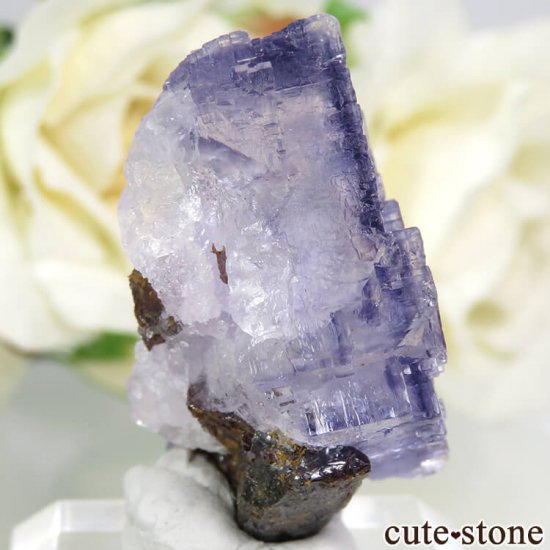 ꥫ ०åɹۻ ѡץ֥롼ե饤ȡե饤Ȥθ 17.9gμ̿0 cute stone