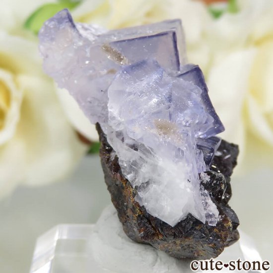 ꥫ ०åɹۻ ѡץ֥롼ե饤ȡե饤Ȥθ 22.2gμ̿0 cute stone