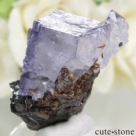 ꥫ ०åɹۻ ѡץ֥롼ե饤ȡե饤Ȥθ 22.2gμ̿1 cute stone