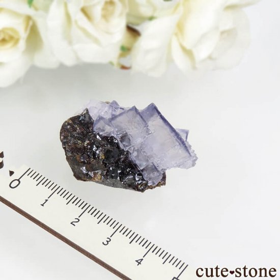 ꥫ ०åɹۻ ѡץ֥롼ե饤ȡե饤Ȥθ 22.2gμ̿4 cute stone