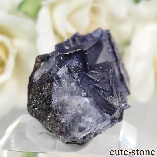 ꥫ ०åɹۻ ѡץ֥롼ե饤ȡե饤Ȥθ 22.8gμ̿0 cute stone