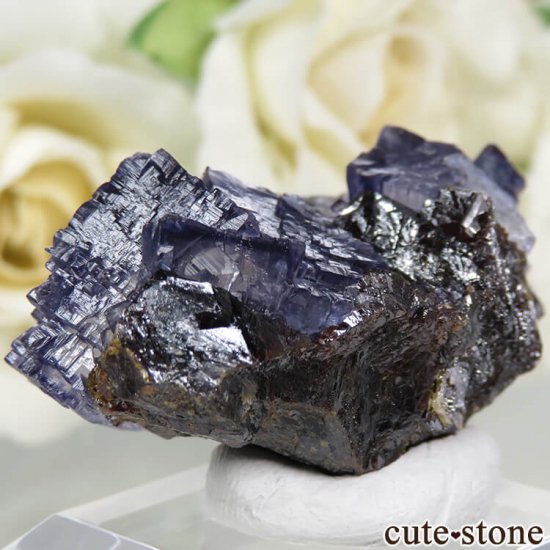 ꥫ ०åɹۻ ѡץ֥롼ե饤ȡե饤Ȥθ 22.8gμ̿1 cute stone
