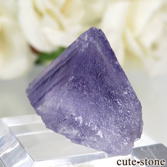 ꥫ ०åɹۻ ѡץ֥롼ե饤Ȥθ 10.7gμ̿0 cute stone