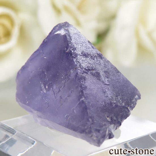ꥫ ०åɹۻ ѡץ֥롼ե饤Ȥθ 10.7gμ̿2 cute stone