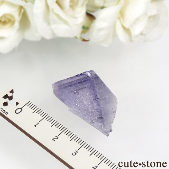 ꥫ ०åɹۻ ѡץ֥롼ե饤Ȥθ 10.7gμ̿4 cute stone