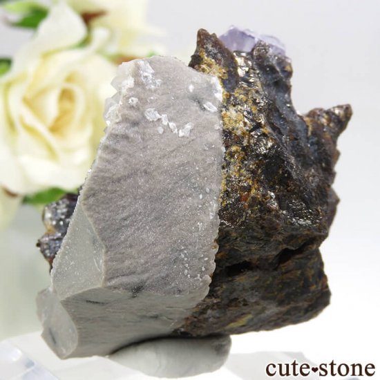 ꥫ ०åɹۻ ѡץ֥롼ե饤ȡե饤Ȥθ 91gμ̿1 cute stone