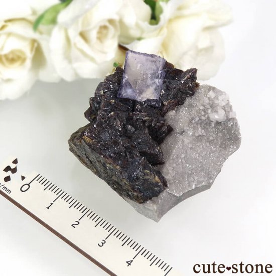ꥫ ०åɹۻ ѡץ֥롼ե饤ȡե饤Ȥθ 91gμ̿4 cute stone