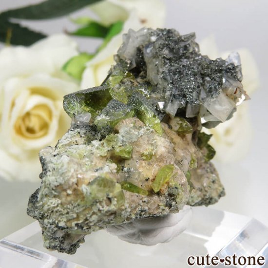 ѥ ɥ ե륵Ȥդ 36.3gμ̿0 cute stone