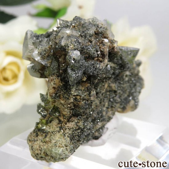 ѥ ɥ ե륵Ȥդ 36.3gμ̿1 cute stone