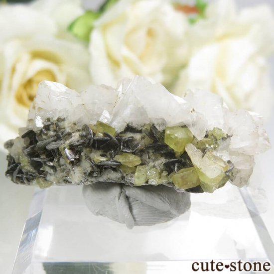 ѥ ɥ ե륵ȡ⥹ХȤդ 13.4gμ̿0 cute stone