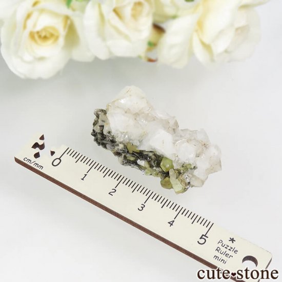 ѥ ɥ ե륵ȡ⥹ХȤդ 13.4gμ̿3 cute stone