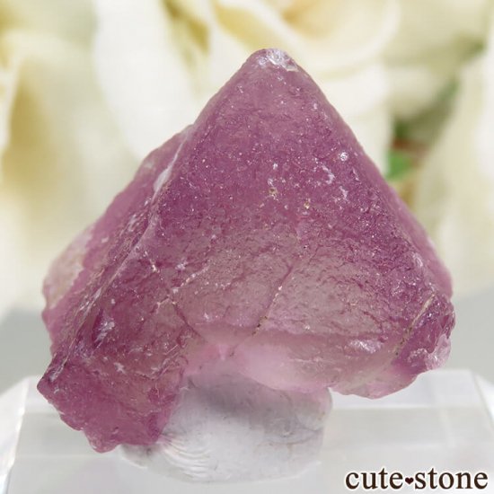 ꥫ ˥塼ᥭ Surprise Mine ѡץߥ꡼ե饤Ȥη뾽ʸС 7.1gμ̿0 cute stone