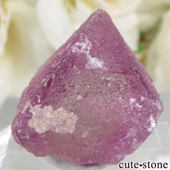 ꥫ ˥塼ᥭ Surprise Mine ѡץߥ꡼ե饤Ȥη뾽ʸС 7.1gμ̿1 cute stone