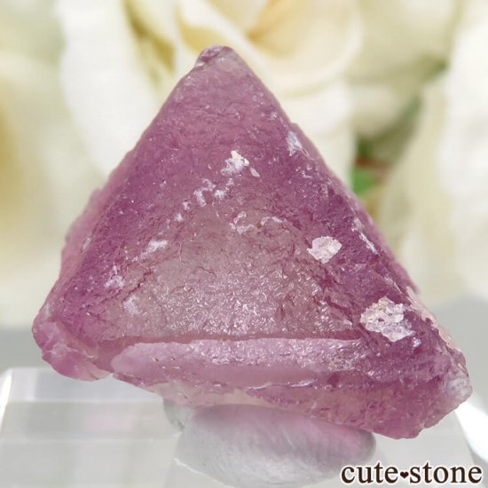 ꥫ ˥塼ᥭ Surprise Mine ѡץߥ꡼ե饤Ȥη뾽ʸС 7.1gμ̿2 cute stone
