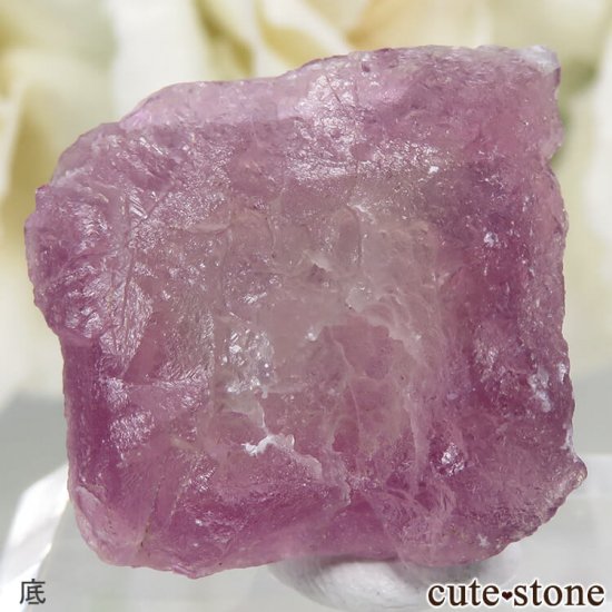 ꥫ ˥塼ᥭ Surprise Mine ѡץߥ꡼ե饤Ȥη뾽ʸС 7.1gμ̿3 cute stone
