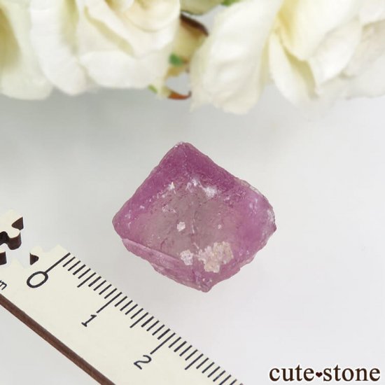 ꥫ ˥塼ᥭ Surprise Mine ѡץߥ꡼ե饤Ȥη뾽ʸС 7.1gμ̿4 cute stone