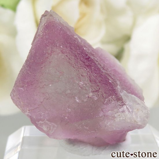 ꥫ ˥塼ᥭ Surprise Mine ѡץߥ꡼ե饤Ȥη뾽ʸС 9.9gμ̿0 cute stone