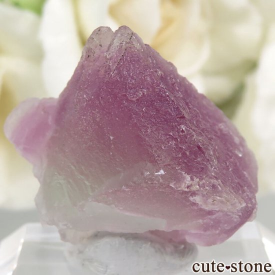 ꥫ ˥塼ᥭ Surprise Mine ѡץߥ꡼ե饤Ȥη뾽ʸС 9.9gμ̿1 cute stone