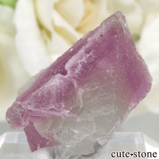 ꥫ ˥塼ᥭ Surprise Mine ѡץߥ꡼ե饤Ȥη뾽ʸС 9.9gμ̿2 cute stone