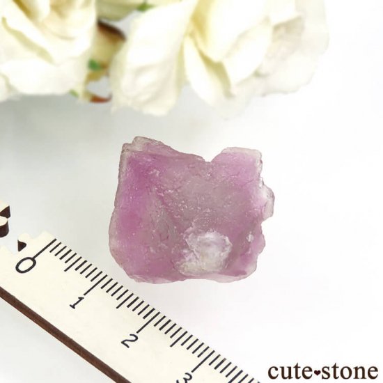 ꥫ ˥塼ᥭ Surprise Mine ѡץߥ꡼ե饤Ȥη뾽ʸС 9.9gμ̿3 cute stone