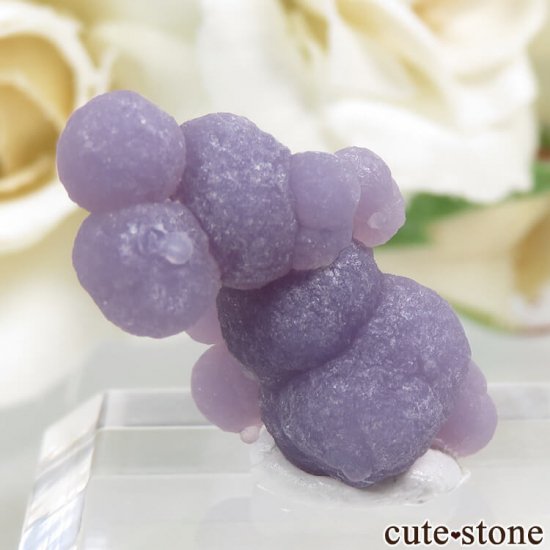 ɥͥ ѡץ륫륻ɥˡη뾽ʸС 2.5gμ̿0 cute stone