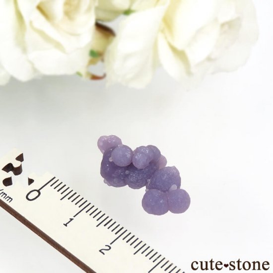 ɥͥ ѡץ륫륻ɥˡη뾽ʸС 2.5gμ̿1 cute stone