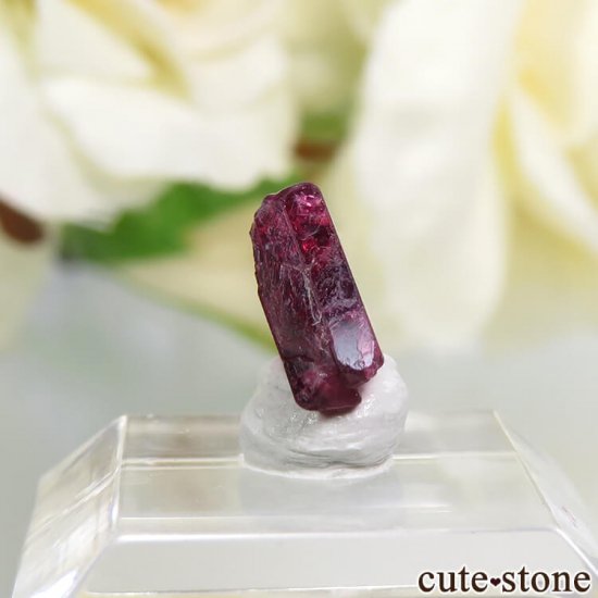 ߥޡ ⥴ åɥԥͥо 1.2ctμ̿0 cute stone