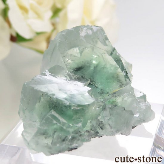  Xianghualing Mine ꡼ե饤Ȥη뾽 28.7gμ̿0 cute stone
