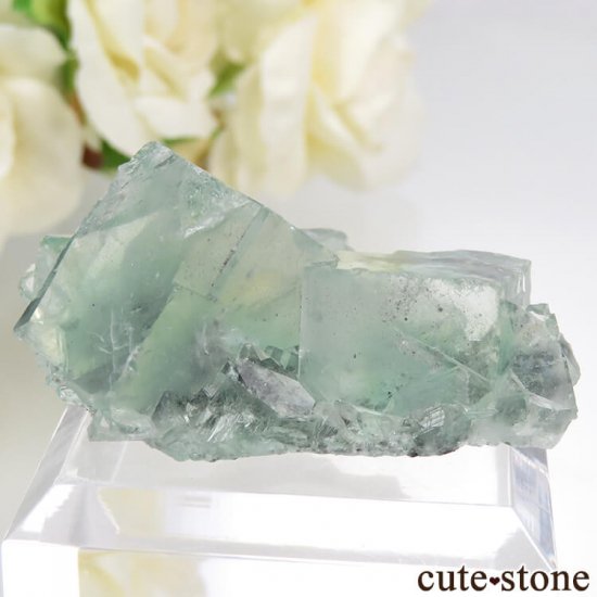  Xianghualing Mine ꡼ե饤Ȥη뾽 28.7gμ̿1 cute stone