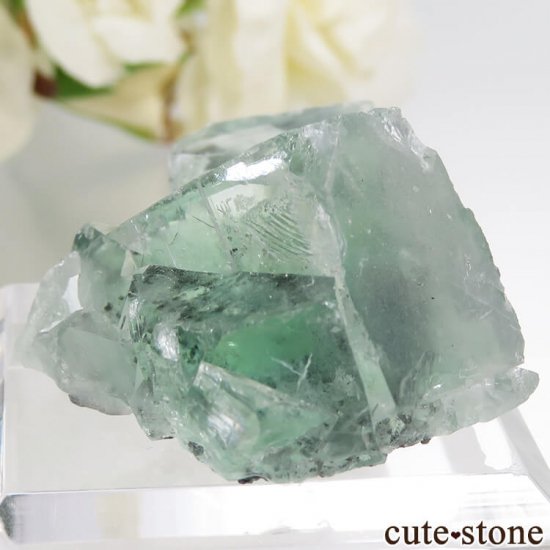  Xianghualing Mine ꡼ե饤Ȥη뾽 28.7gμ̿2 cute stone