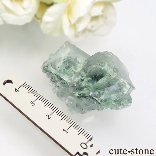  Xianghualing Mine ꡼ե饤Ȥη뾽 28.7gμ̿3 cute stone