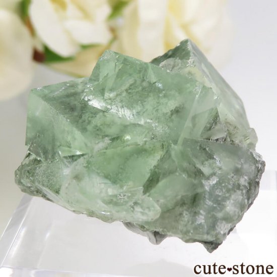  Xianghualing Mine ꡼ե饤Ȥη뾽 23.2gμ̿0 cute stone
