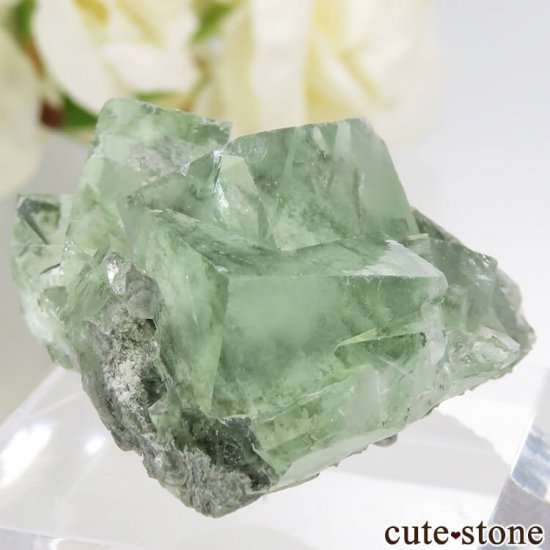  Xianghualing Mine ꡼ե饤Ȥη뾽 23.2gμ̿1 cute stone