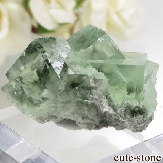  Xianghualing Mine ꡼ե饤Ȥη뾽 23.2gμ̿2 cute stone