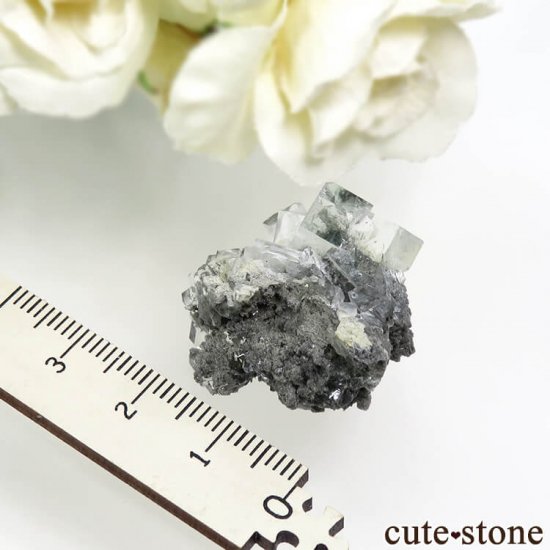  Xianghualing Mine 饤ȥ꡼ե饤Ȥη뾽 9.2gμ̿3 cute stone