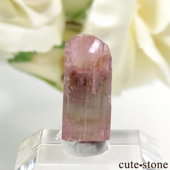 カリフォルニア州ヒマラヤ鉱山のトライカラートルマリン結晶 カリフォルニア州ヒマラヤ鉱山のトライカラートルマリン結晶